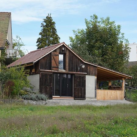 ברוג Tiny House Chez Claudine - Relaxen, Workspace, Naehe Thermen, Netflix, Free Parking & Wifi מראה חיצוני תמונה