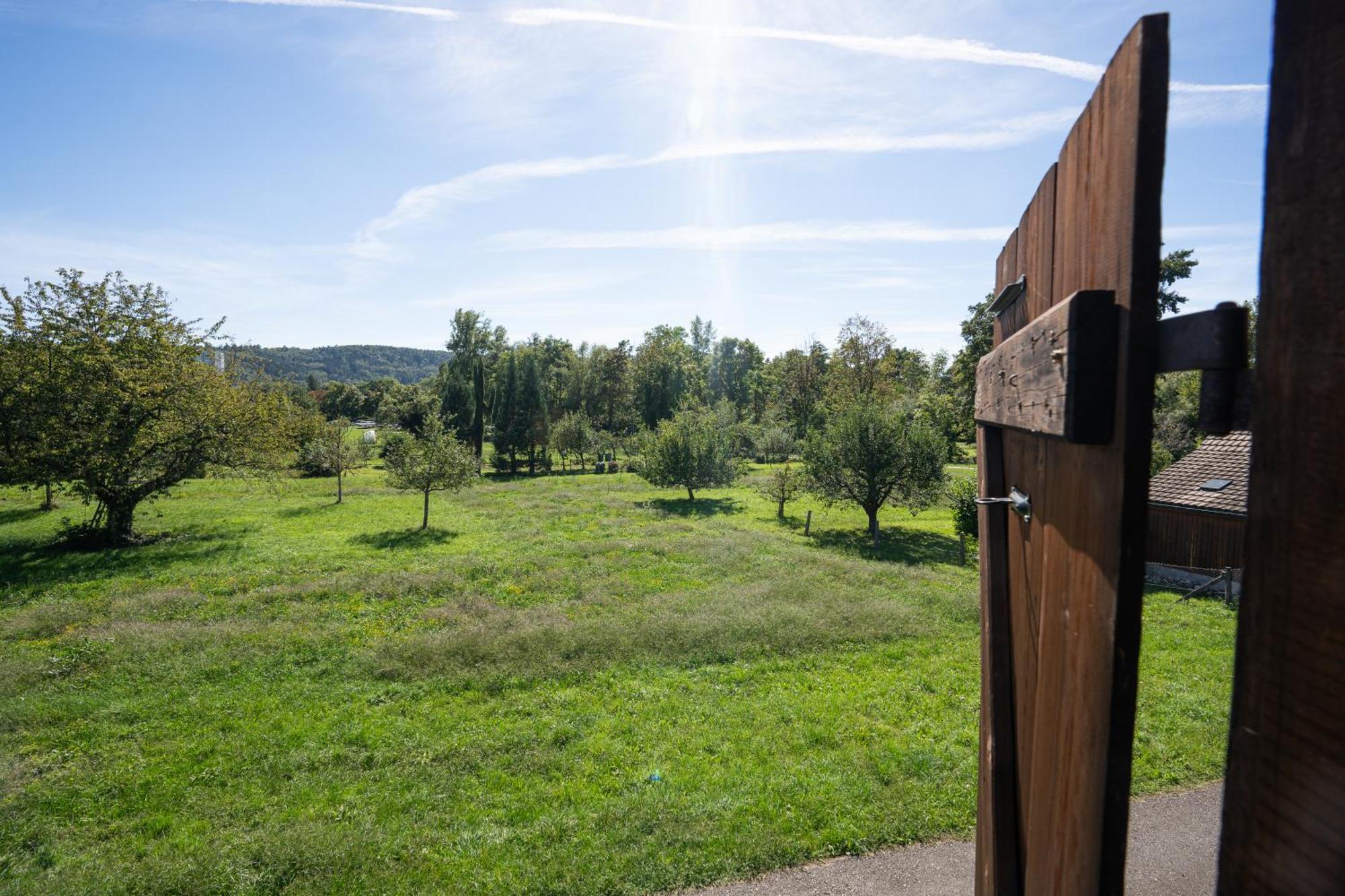 ברוג Tiny House Chez Claudine - Relaxen, Workspace, Naehe Thermen, Netflix, Free Parking & Wifi מראה חיצוני תמונה